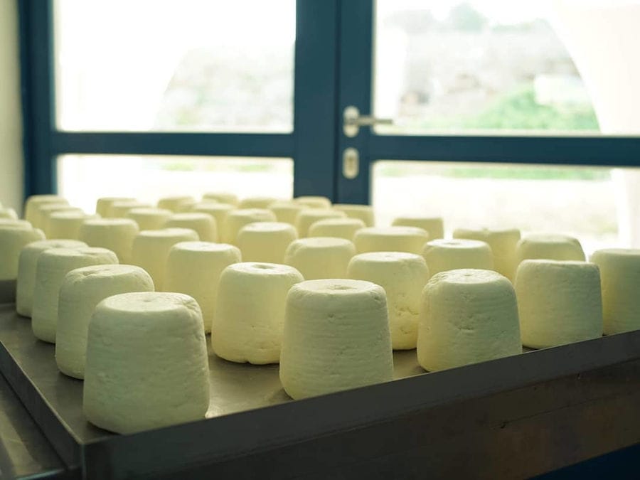 cheese balls on the aluminum surface from 'Mykonos Farmers'